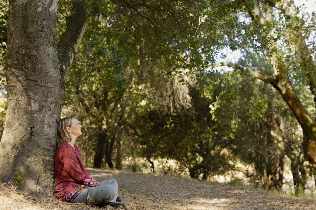 Ecotherapy Services